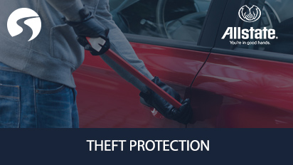 Theft protection